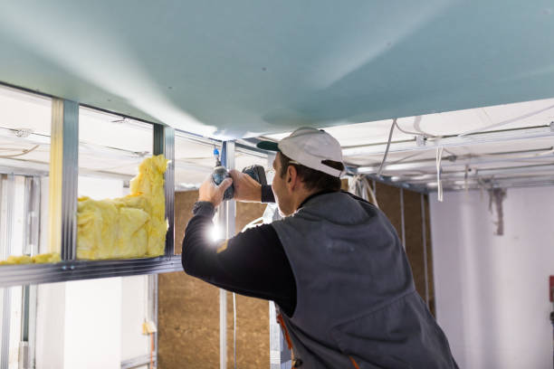 Best Fiberglass Insulation  in Winnsboro, LA