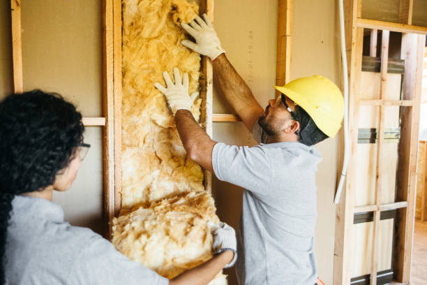 Best Insulation Contractor Near Me  in Winnsboro, LA