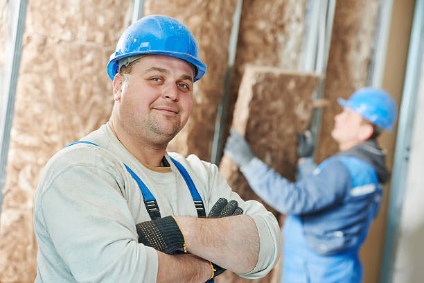 Best Energy-efficient Insulation  in Winnsboro, LA