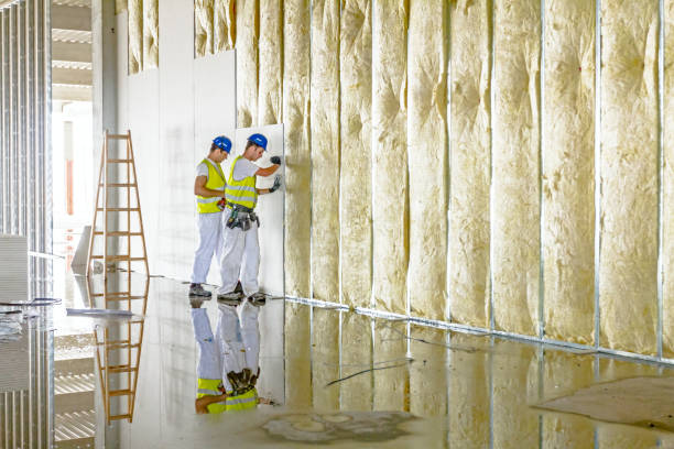 Best Blown-in Insulation  in Winnsboro, LA